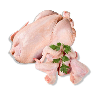 Viande de poulet Bicyclette entier - 1 pièce