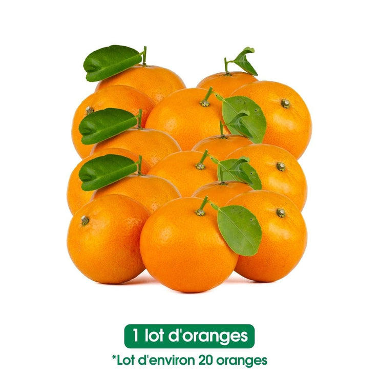 Oranges fraiches - La vingtaine