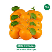 Oranges fraiches - La vingtaine