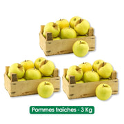 Pomme fruit - 1 Kg