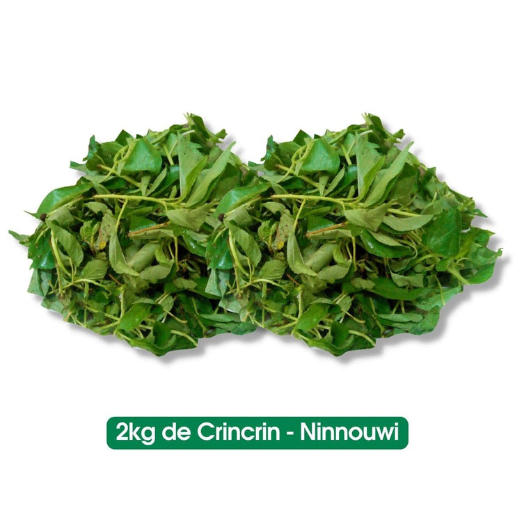 Crincrin - Ninnouwi