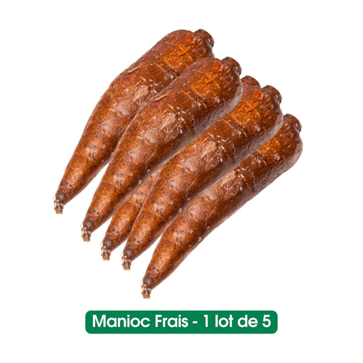 Manioc - 1 lot de 5